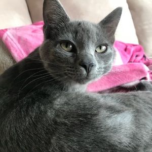 Meet your Posher, Maggie